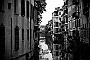 Meraviglia!!!-(Adriano Danieli)